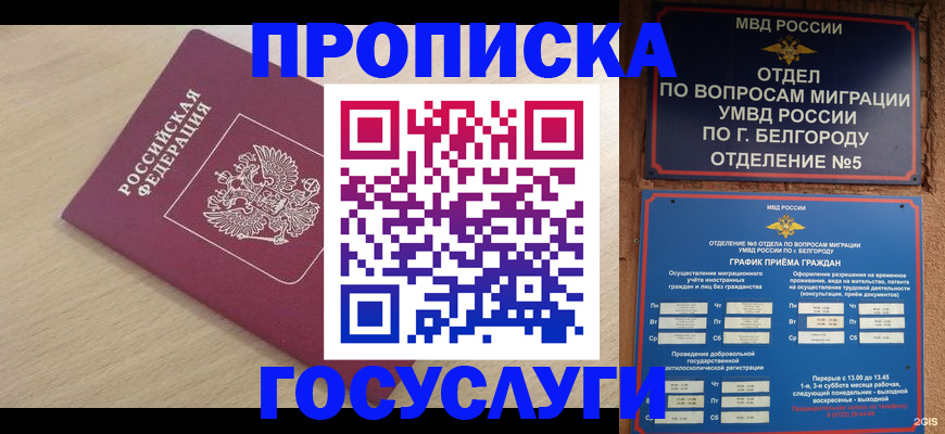 прописка законно в Жирновске